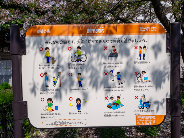 画像を別ウィンドウで表示します 画像