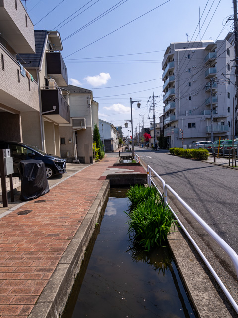 画像を別ウィンドウで表示します 画像