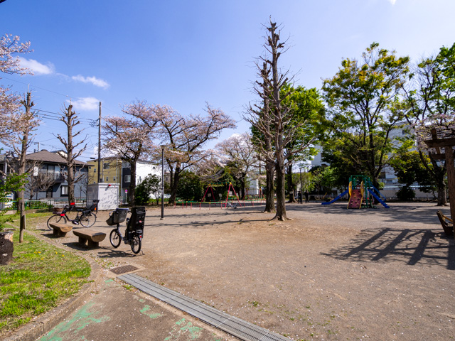 画像を別ウィンドウで表示します 画像
