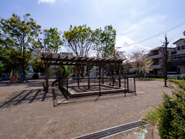 画像を別ウィンドウで表示します 画像