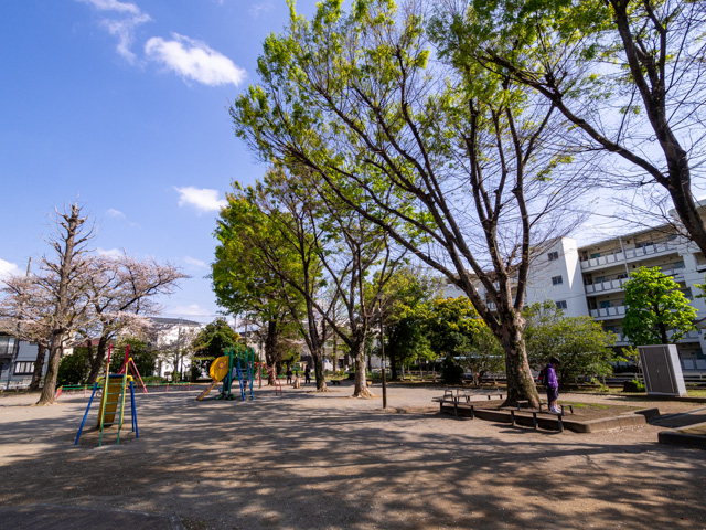 画像を別ウィンドウで表示します 画像