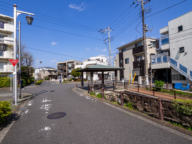 画像を別ウィンドウで表示します 画像