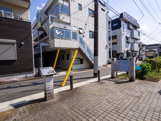 画像を別ウィンドウで表示します 画像