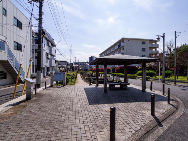 画像を別ウィンドウで表示します 画像