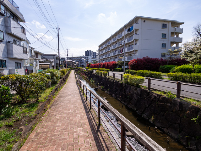 画像を別ウィンドウで表示します 画像