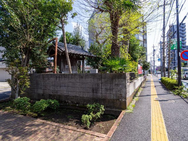 画像を別ウィンドウで表示します 画像