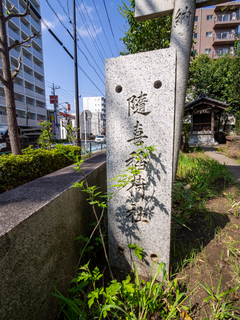 画像を別ウィンドウで表示します 画像