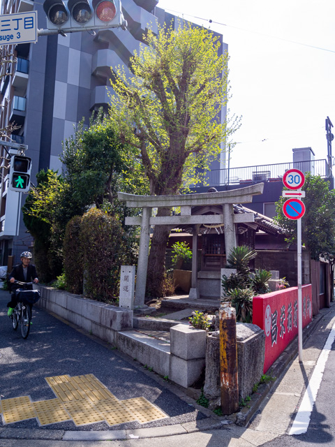 画像を別ウィンドウで表示します 画像