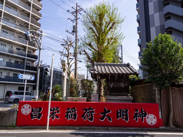 画像を別ウィンドウで表示します 画像