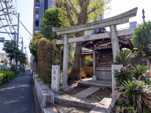 画像を別ウィンドウで表示します 画像