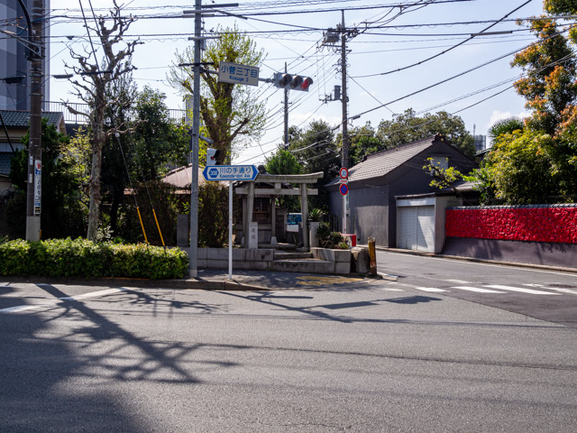 画像を別ウィンドウで表示します 画像