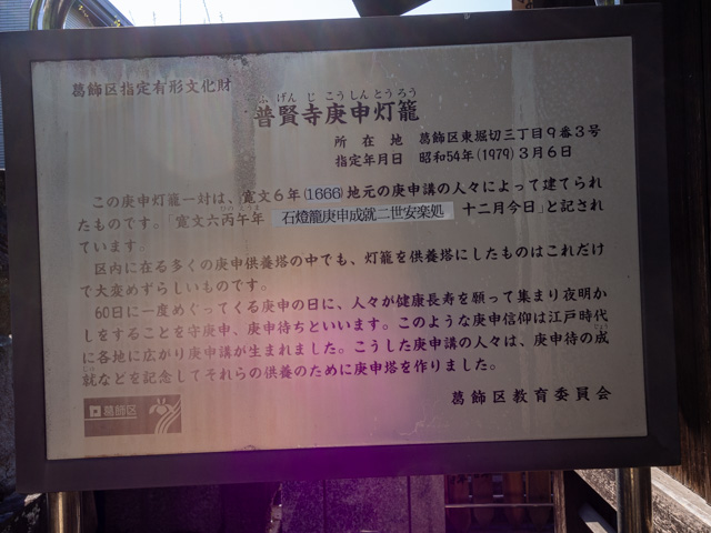 画像を別ウィンドウで表示します 画像