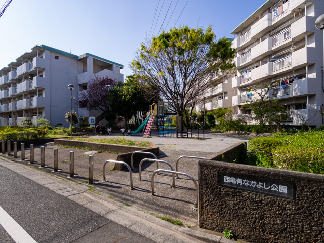 画像を別ウィンドウで表示します 画像