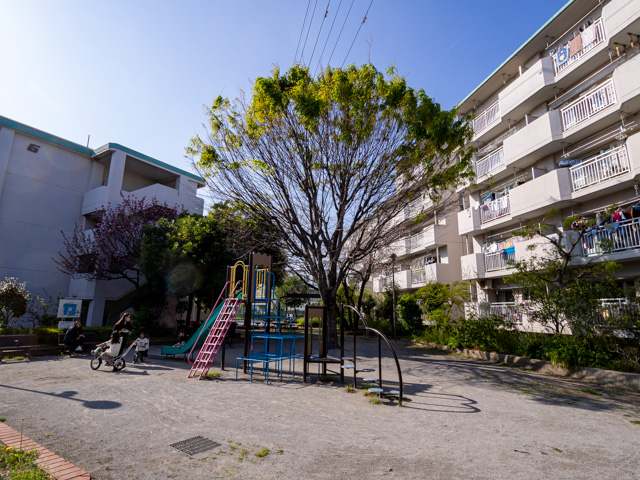 画像を別ウィンドウで表示します 画像