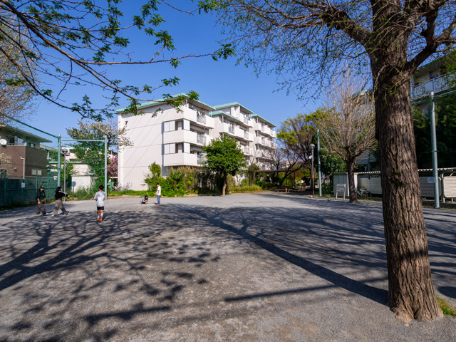 画像を別ウィンドウで表示します 画像