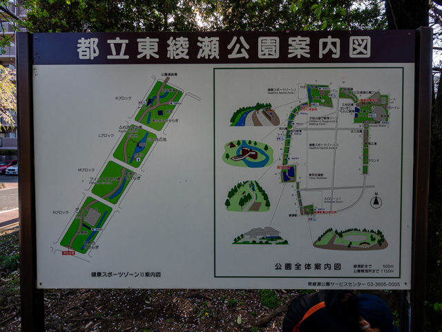 画像を別ウィンドウで表示します 画像