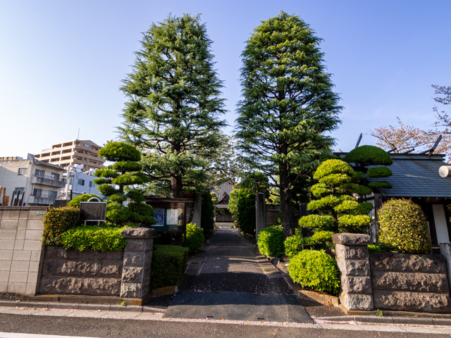 画像を別ウィンドウで表示します 画像