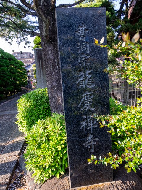 画像を別ウィンドウで表示します 画像