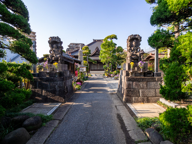 画像を別ウィンドウで表示します 画像