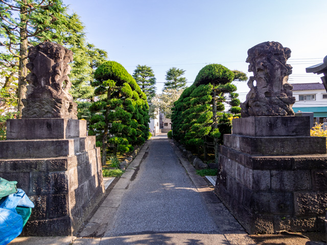 画像を別ウィンドウで表示します 画像