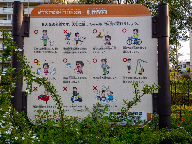 画像を別ウィンドウで表示します 画像