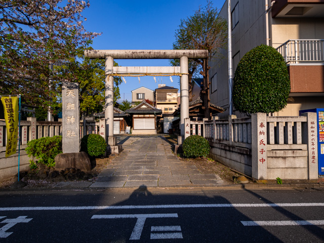 画像を別ウィンドウで表示します 画像