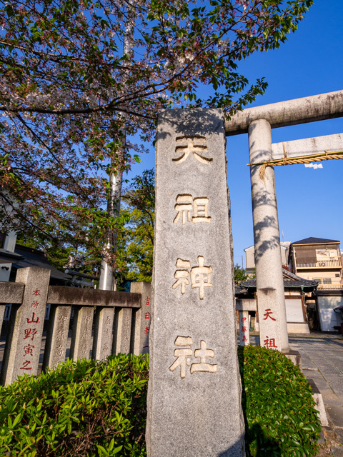 画像を別ウィンドウで表示します 画像