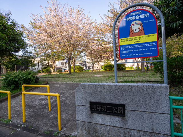 画像を別ウィンドウで表示します 画像