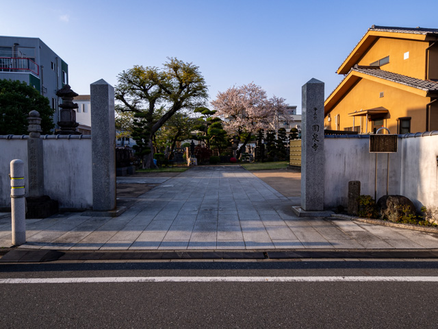 画像を別ウィンドウで表示します 画像