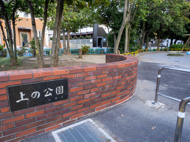 画像を別ウィンドウで表示します 画像