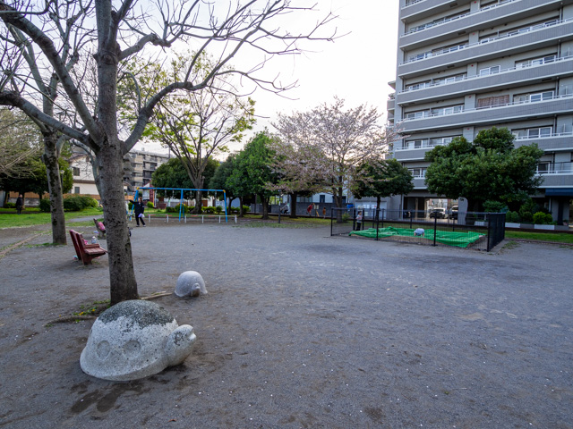 画像を別ウィンドウで表示します 画像