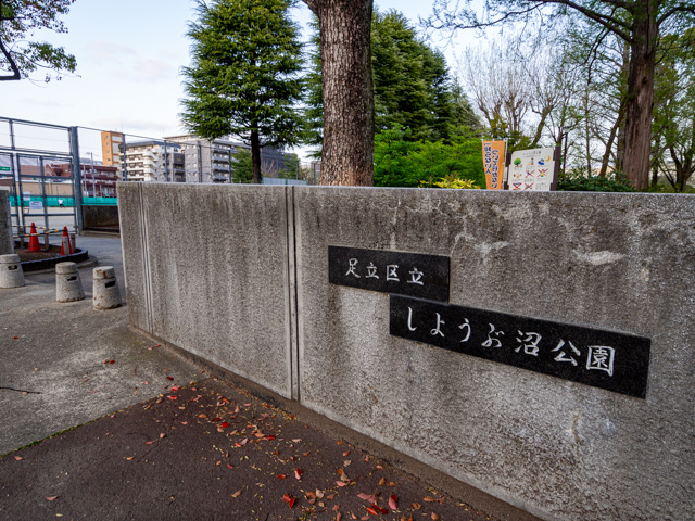 画像を別ウィンドウで表示します 画像