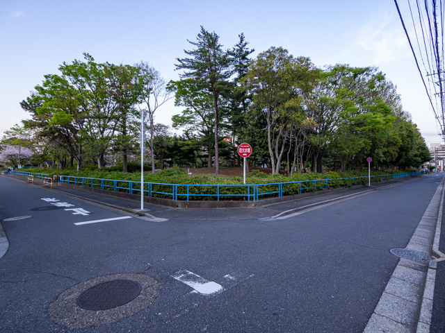画像を別ウィンドウで表示します 画像
