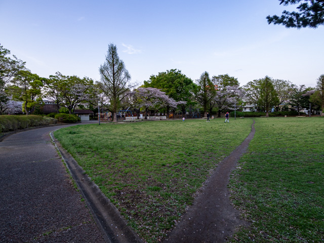 画像を別ウィンドウで表示します 画像