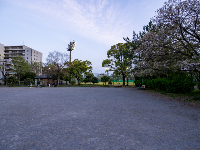 画像を別ウィンドウで表示します 画像