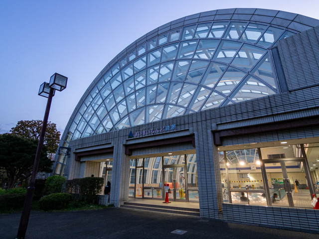 画像を別ウィンドウで表示します 画像