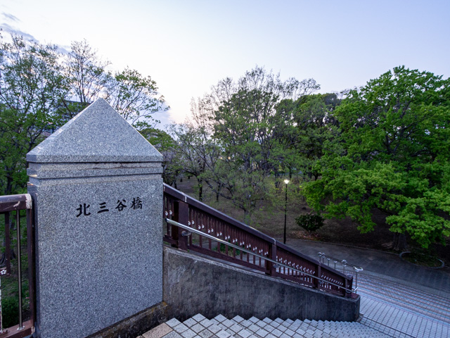 画像を別ウィンドウで表示します 画像