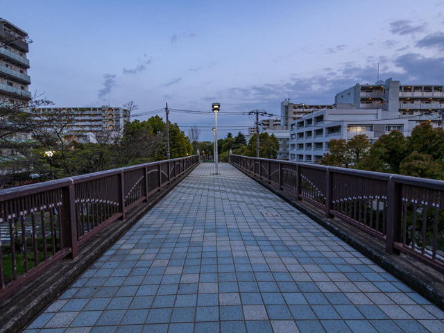 画像を別ウィンドウで表示します 画像