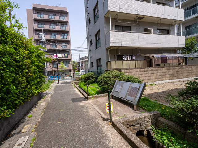 画像を別ウィンドウで表示します 画像