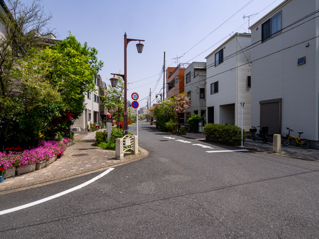 画像を別ウィンドウで表示します 画像