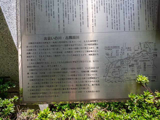 画像を別ウィンドウで表示します 画像