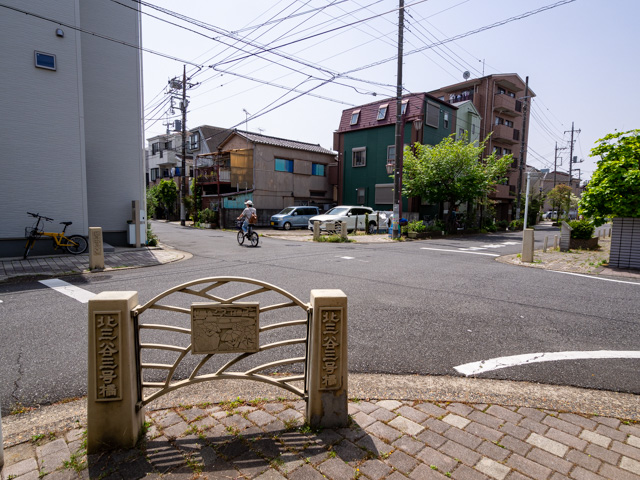 画像を別ウィンドウで表示します 画像
