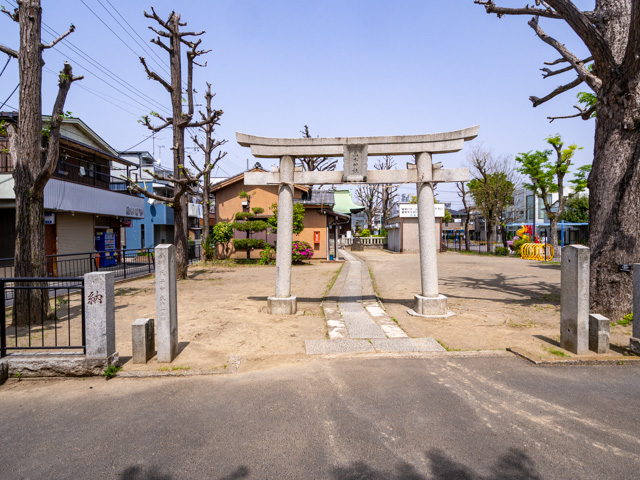 画像を別ウィンドウで表示します 画像