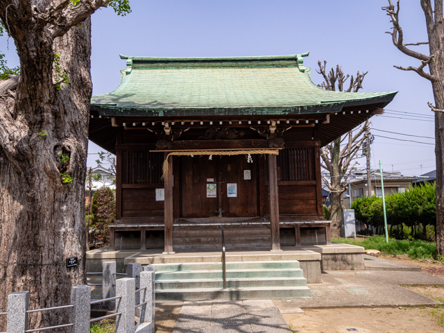 画像を別ウィンドウで表示します 画像