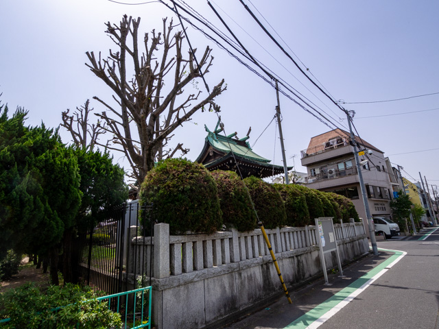画像を別ウィンドウで表示します 画像