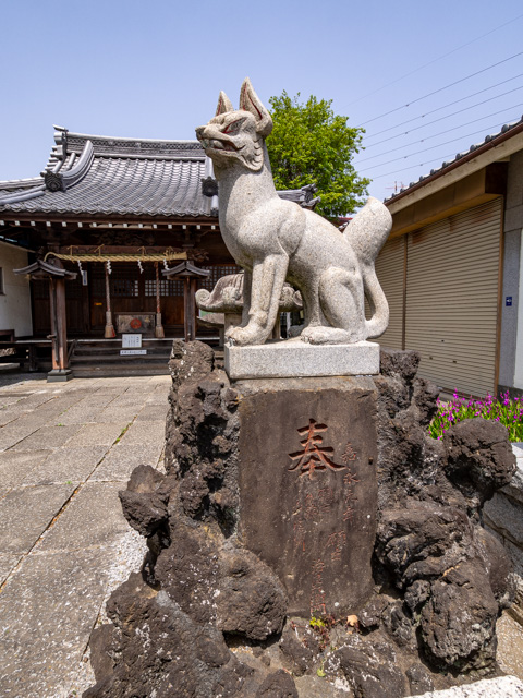 画像を別ウィンドウで表示します 画像