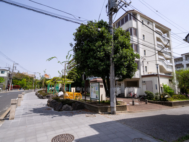 画像を別ウィンドウで表示します 画像