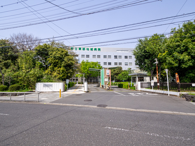 画像を別ウィンドウで表示します 画像