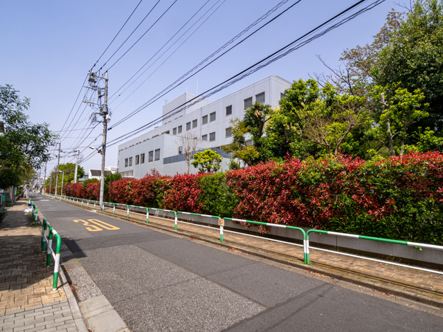 画像を別ウィンドウで表示します 画像