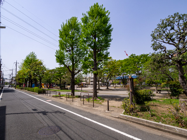 画像を別ウィンドウで表示します 画像